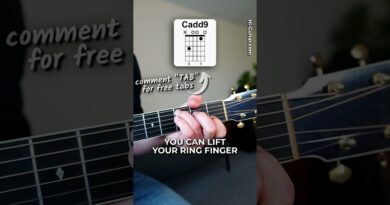 Chords Every Guitarist Should Know