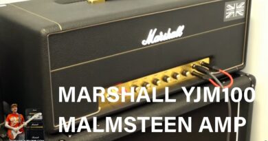 Marshall YJM100 Guitar Amp Review Inside and Out Close up