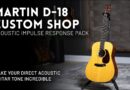 Martin D-18 Custom Shop Acoustic IR Pack Demo // Make your direct acoustic tone incredible