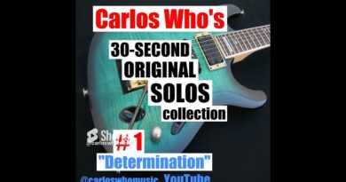 Jan. 10 ORIGINAL SOLOS (#1) "Determination" #originalmusic #guitar #selfproduced #mixer #guitarsolo