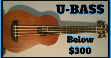 Cheapest U-Bass: Kala Wanderer Review and Demo