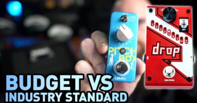 Lekato Pitch Box vs Digitech Drop