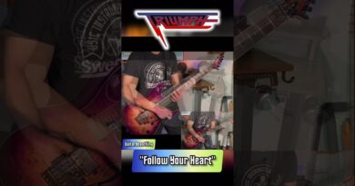 TRIUMPH - Follow Your Heart Guitar Solo Cover ????