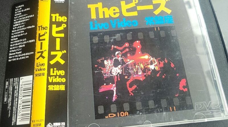 The Peas Live Video DVD 8.7" Concert Recording Used