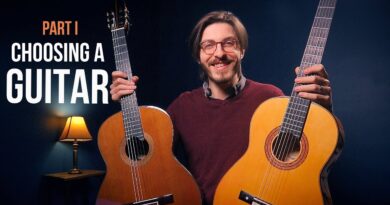 GUITAR TIP: Choosing a guitar (PART I)