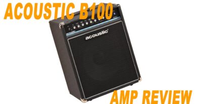 Acoustic B100 mkII Bass Amp Review \ Stefan's Bass Blog