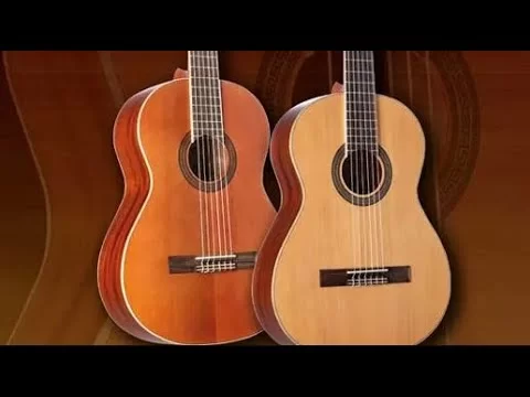 Best Classical Guitar You Should Choose Once! Just The Tone
