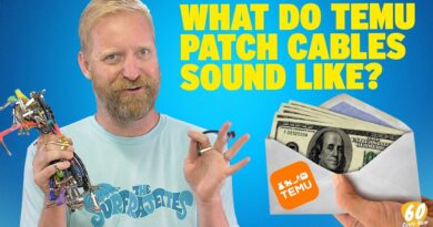 WHAT DO TEMU PATCH CABLES SOUND LIKE? - Totally normal video no unusual content within #TemuShill