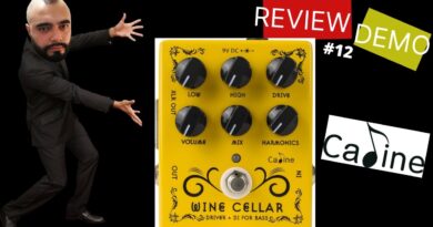 Caline Wine Cellar || Review | Demo | Pedal preamp | Baixo | Bass | Direct box