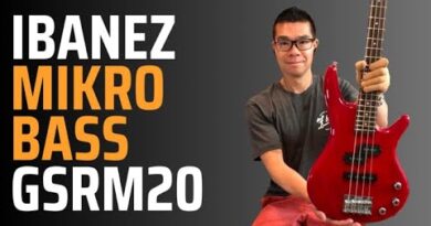 Ibanez Mikro GSRM20 short scale bass. Demonstration & review