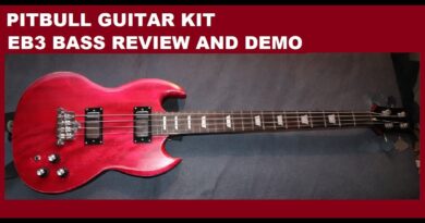 Pitbull Guitar Kit SG / EB3  bass review and demo