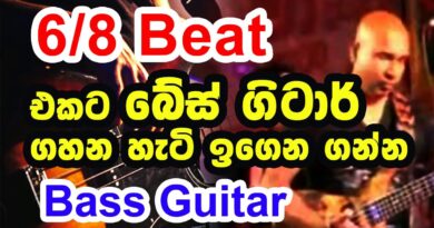 Bass Guitar Lesson for  6/8 Beat  - Sri Lankan Bass Style - EASY !!!