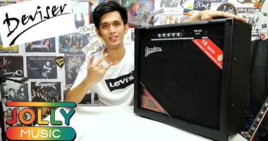 Deviser TB-60 Bass Amp (Unboxing, Review and Demo)