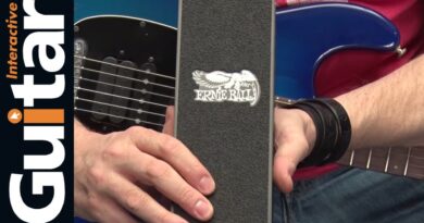 Ernie Ball 40th Anniversary Volume Pedal | Review