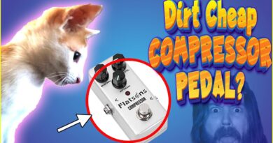 Flatsons Compressor Mini Guitar Pedal Review | To The Point Gear Reviews