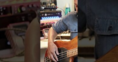 Floating thumb muting bass technique