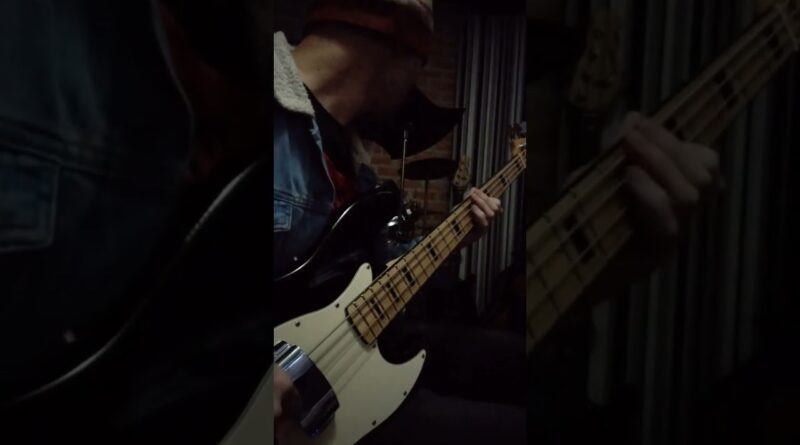 Groove com contrabaixo Michael Jazz Bass + Pedal DOD Envelope Filter 440 #baixista #baixo #groove