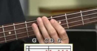 LEARN TO PLAY BASS GUITAR: DIFFERENT MUSIC STYLES