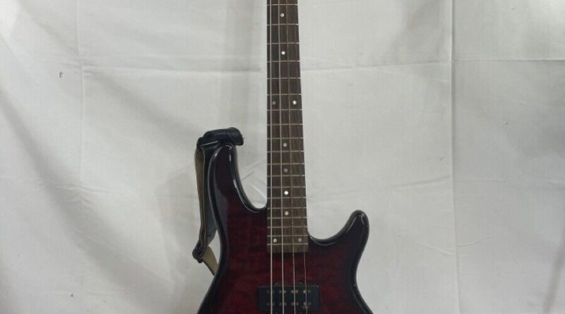 SCHECTER DIAMOND SERIES RAIDEN SPECIAL-4 ELECTRIC BASS GUITAR (ie) (PBR068825)