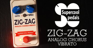 Supercool Pedals Zig-Zag Analog Chorus Vibrato