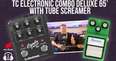 TC Electronic Combo Deluxe 65' with Ibanez tube screamer