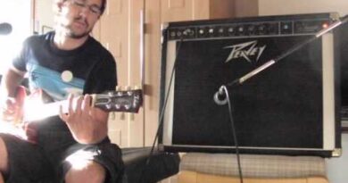 Trashy Amp Reviews - 1979 Peavey Classic VT Series 212