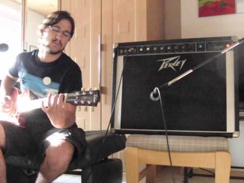 Trashy Amp Reviews - 1979 Peavey Classic VT Series 212