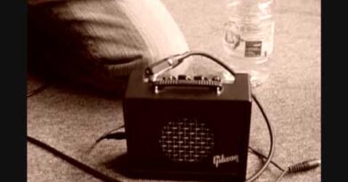 Voicemail - Lorrin Winter Reviews: Gibson Amp