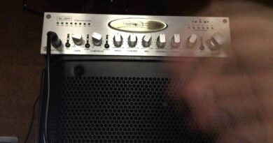 Wayne Jones WJBP Stereo Valve Bass Pre-Amp (DEMO)