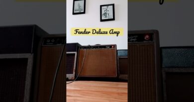 1962 Fender Deluxe Amp turn it up to 4 with Heritage H535! #blues #overdrive #fenderdeluxe