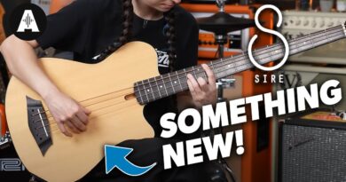 An Exciting New Bass from Sire!? | GB5 5 & 4 String Bass Guitars