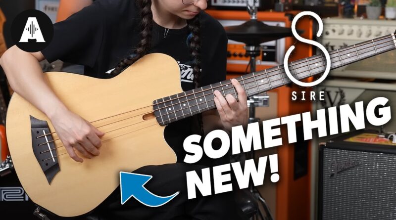 An Exciting New Bass from Sire!? | GB5 5 & 4 String Bass Guitars