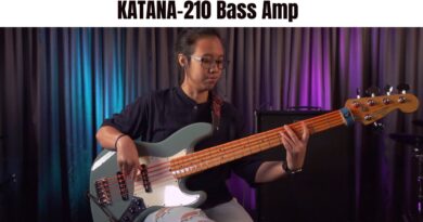 BOSS Katana-210 Bass Amp - Sound Presets and Playthrough