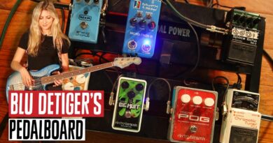 Blu DeTiger's Pedalboard