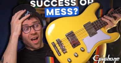 Can this bass be saved? | Epiphone Newport Bass [Review/Demo]