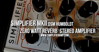 DSM Humboldt: SIMPLIFIER MKII Zero Watt Reverb Stereo ANALOG Amp