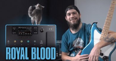 Getting a Royal Blood type Bass Tone using the Helix