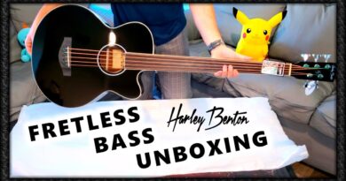 Harley Benton Fretless Acoustic Bass Unboxing and Review B-35BK-FL #bassguitar #unboxing