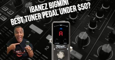 Ibanez BigMini: Is It The Best Tuner Pedal Under $50? (2022)