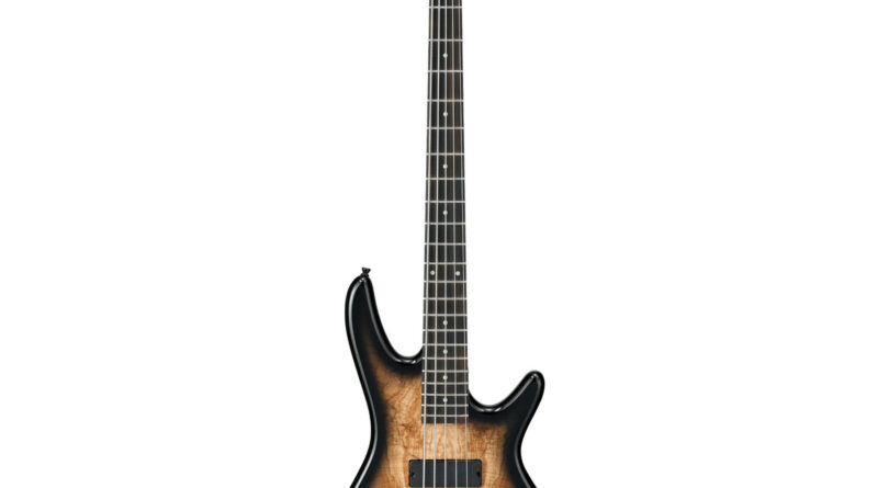 Ibanez GSR205SM 5-String Electric Bass Guitar (Right-Hand, Natural Gray Burst)