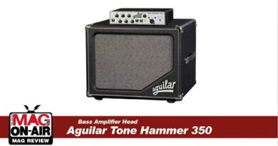 MAG REVIEW - Aguilar Tone Hammer 350 [Bass Head Amp]