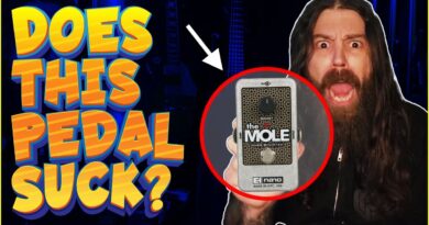 Mole Bass Booster Guitar Pedal Review | To The Point Gear Reviews