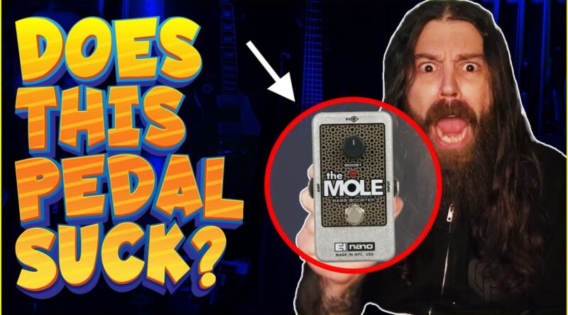 Mole Bass Booster Guitar Pedal Review | To The Point Gear Reviews