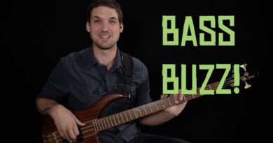 My Big New Beginner Course + Bass Lesson Project!!!