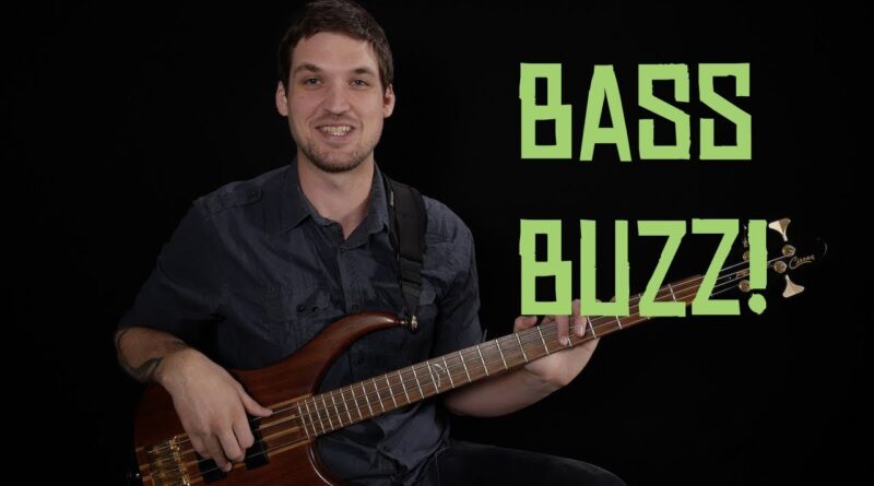 My Big New Beginner Course + Bass Lesson Project!!!