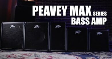 Peavey MAX Series Bass Combo Review