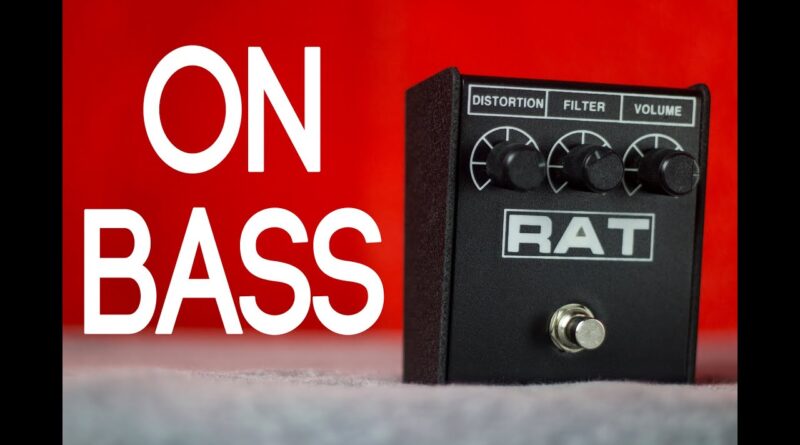 ProCo Rat2 [Bass Demo]