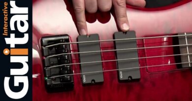 Spector Bantam 4 Bass Guitar | Review