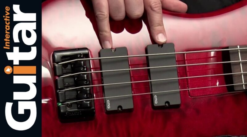 Spector Bantam 4 Bass Guitar | Review