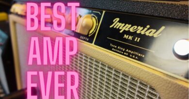 THE BEST AMP EVER - Tone King Imperial MK II